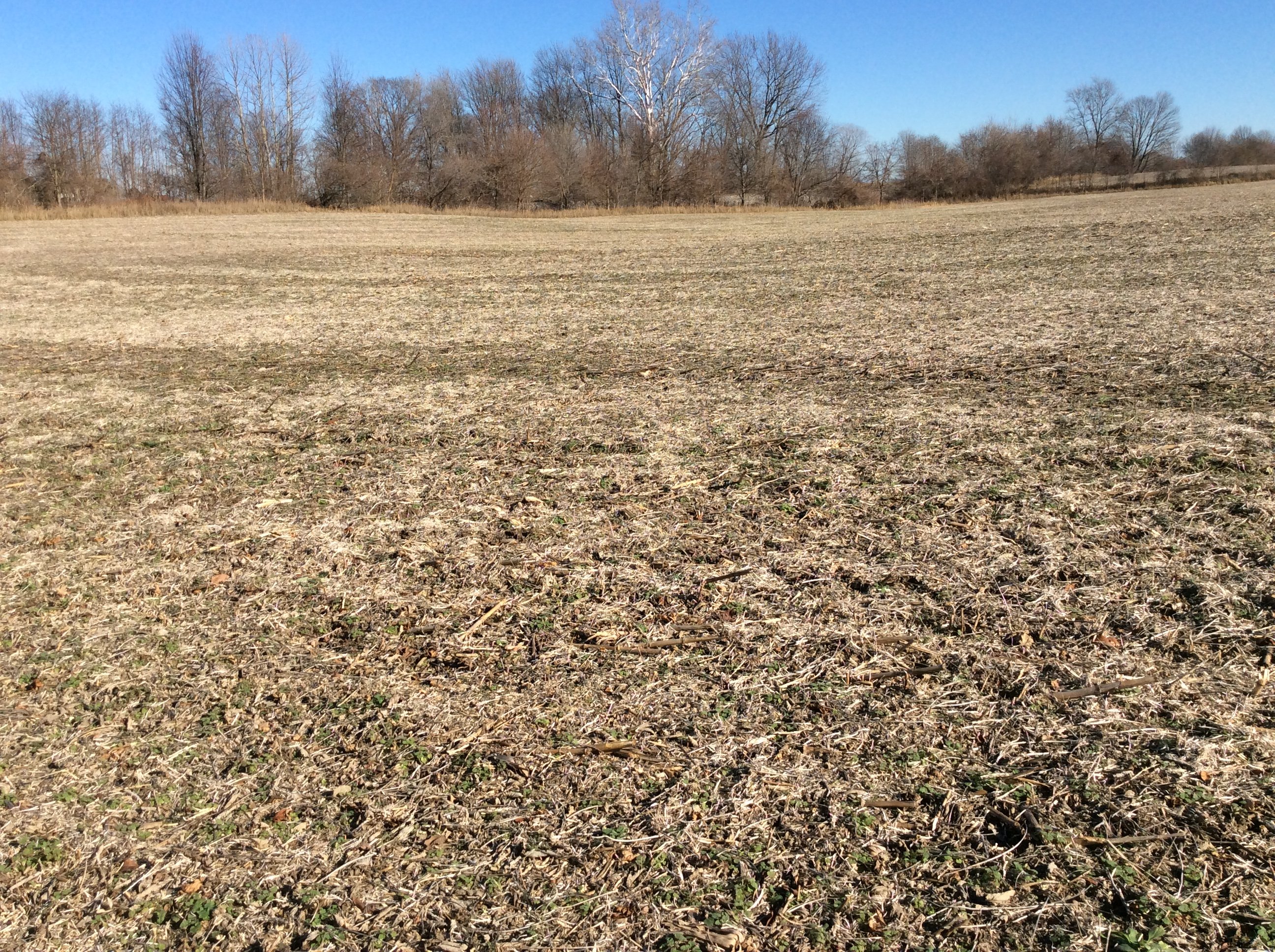 Real Estate Pictures