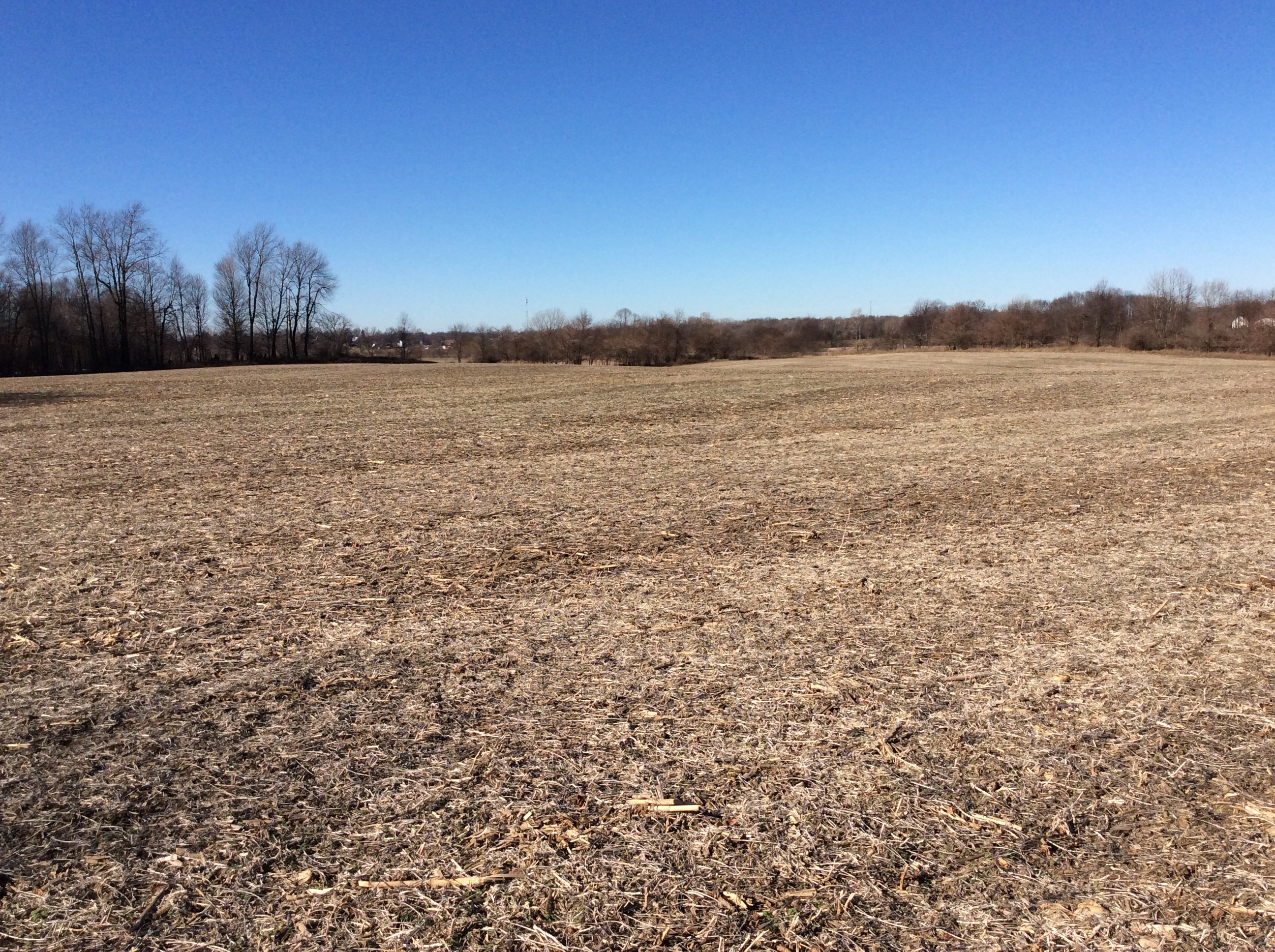 Real Estate Pictures