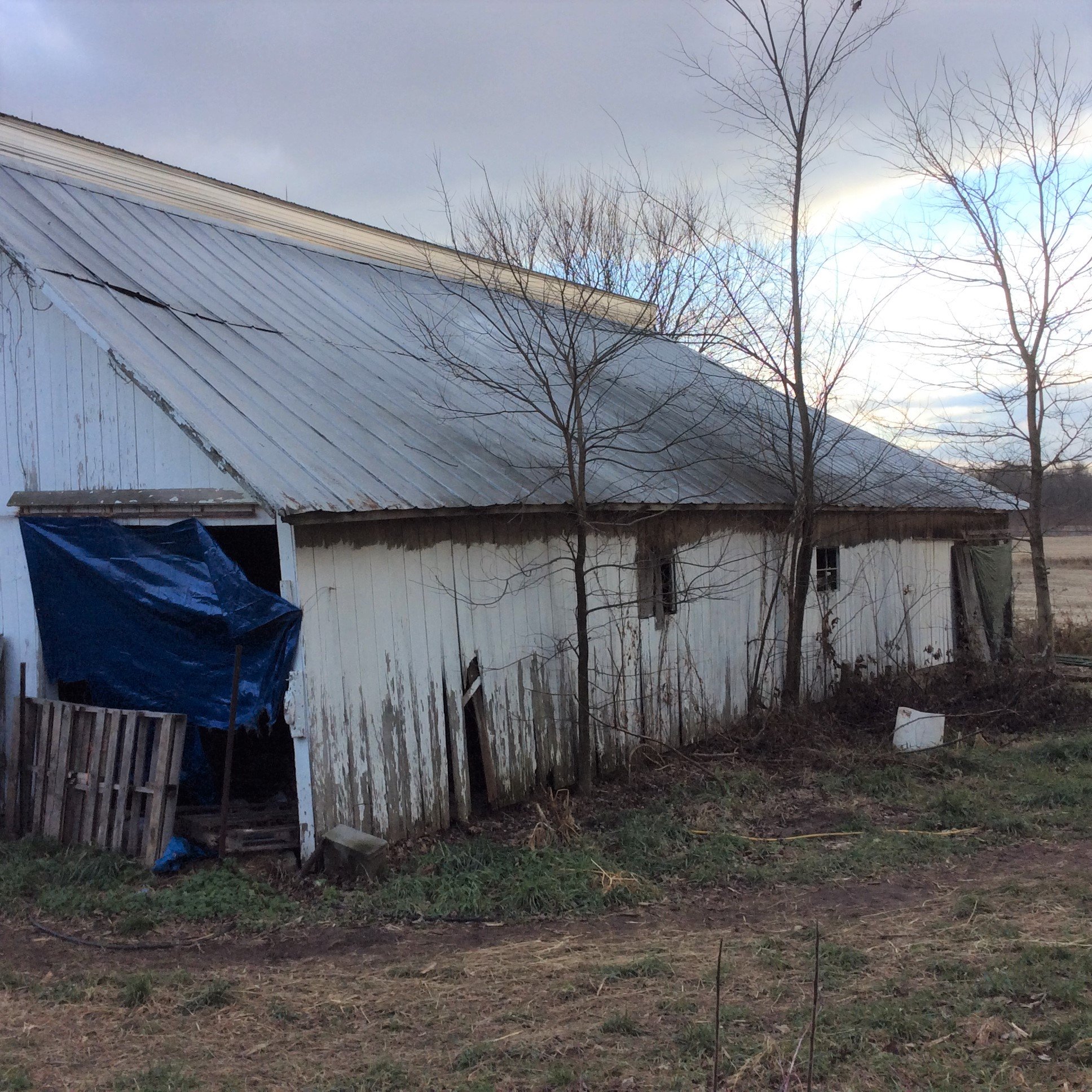 Real Estate Pictures