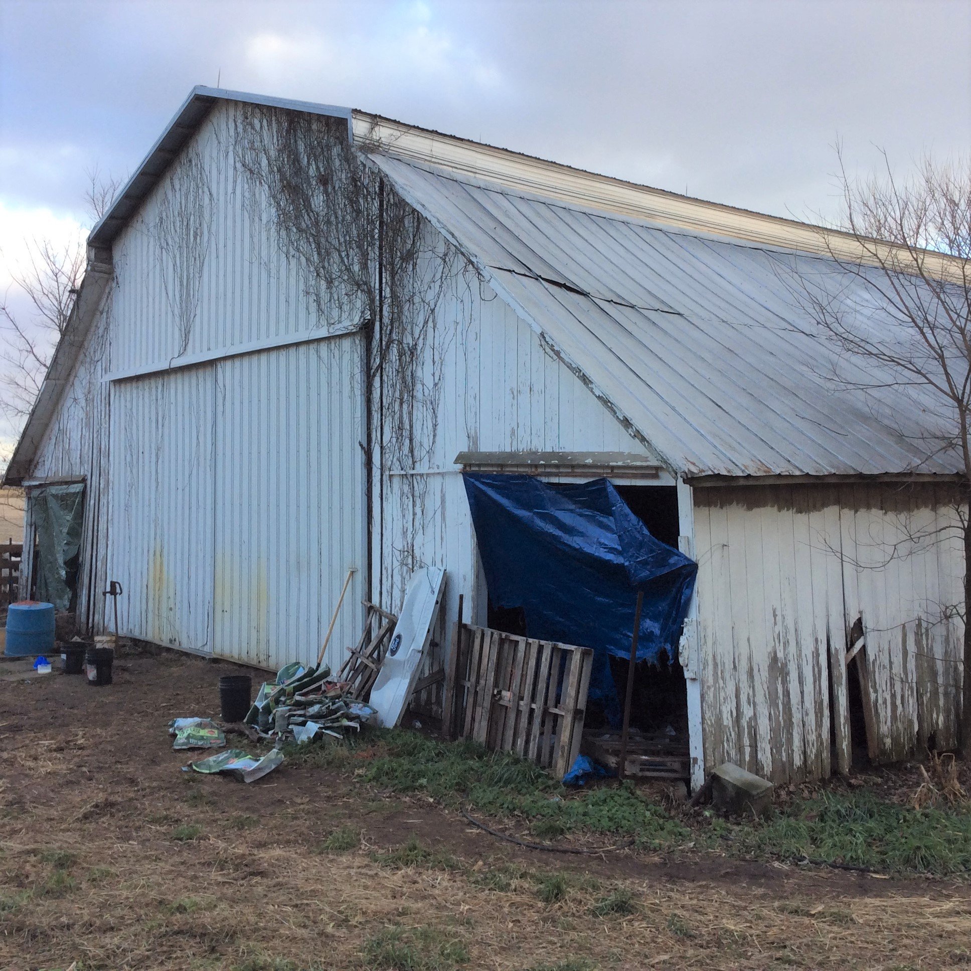 Real Estate Pictures