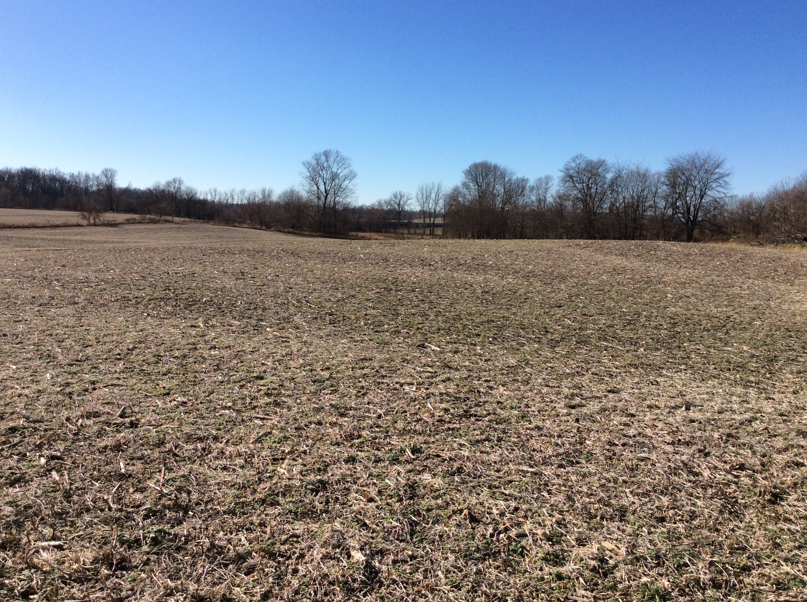 Real Estate Pictures