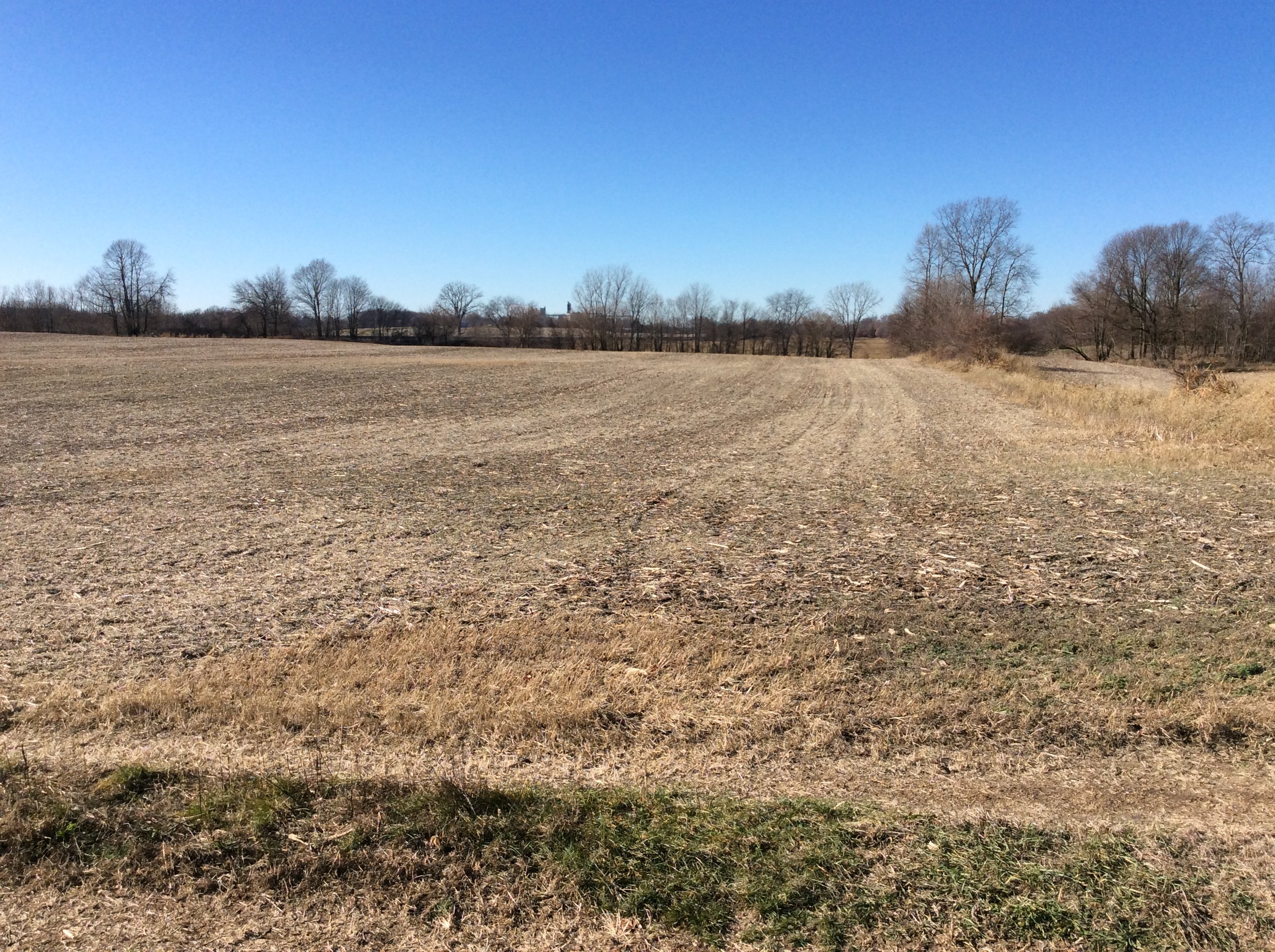 Real Estate Pictures