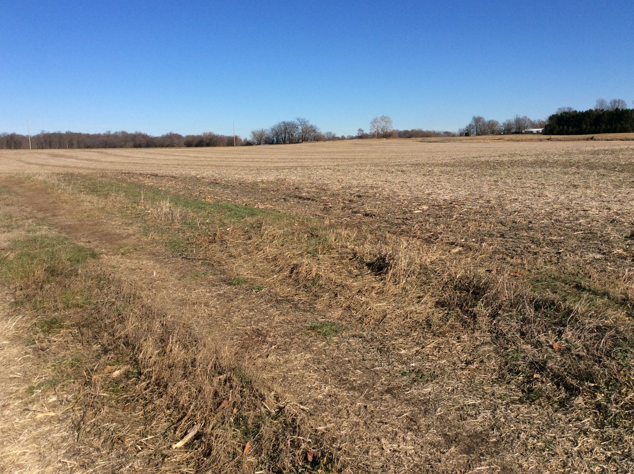 Real Estate Pictures