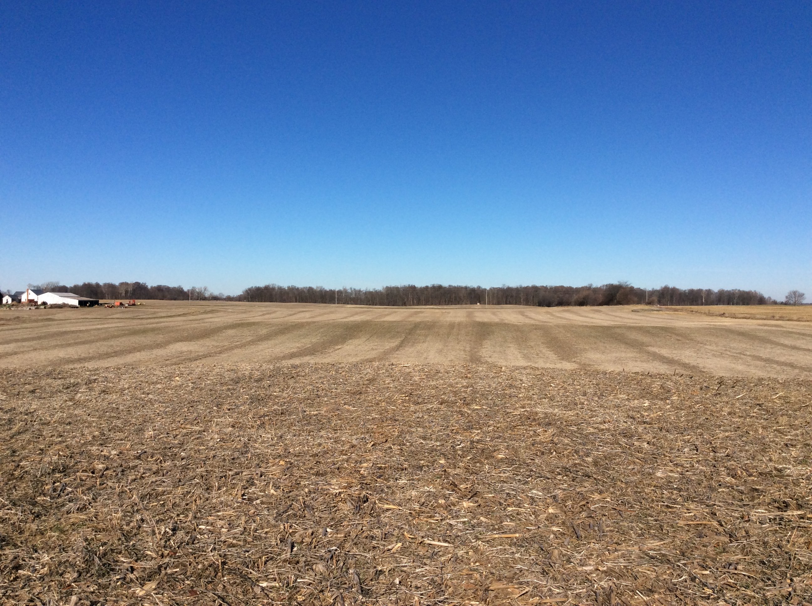 Real Estate Pictures