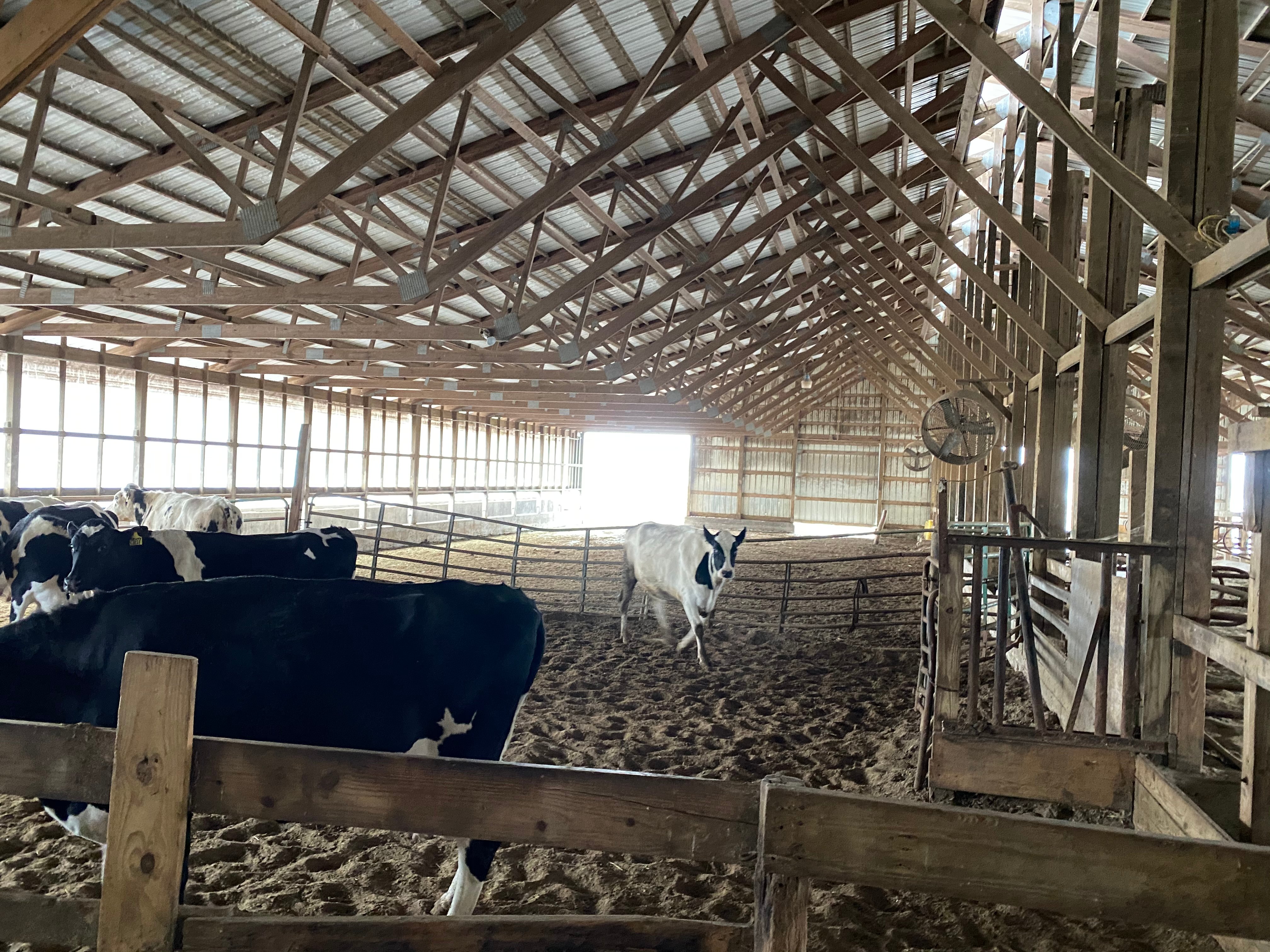 Dairy Facility Pictures