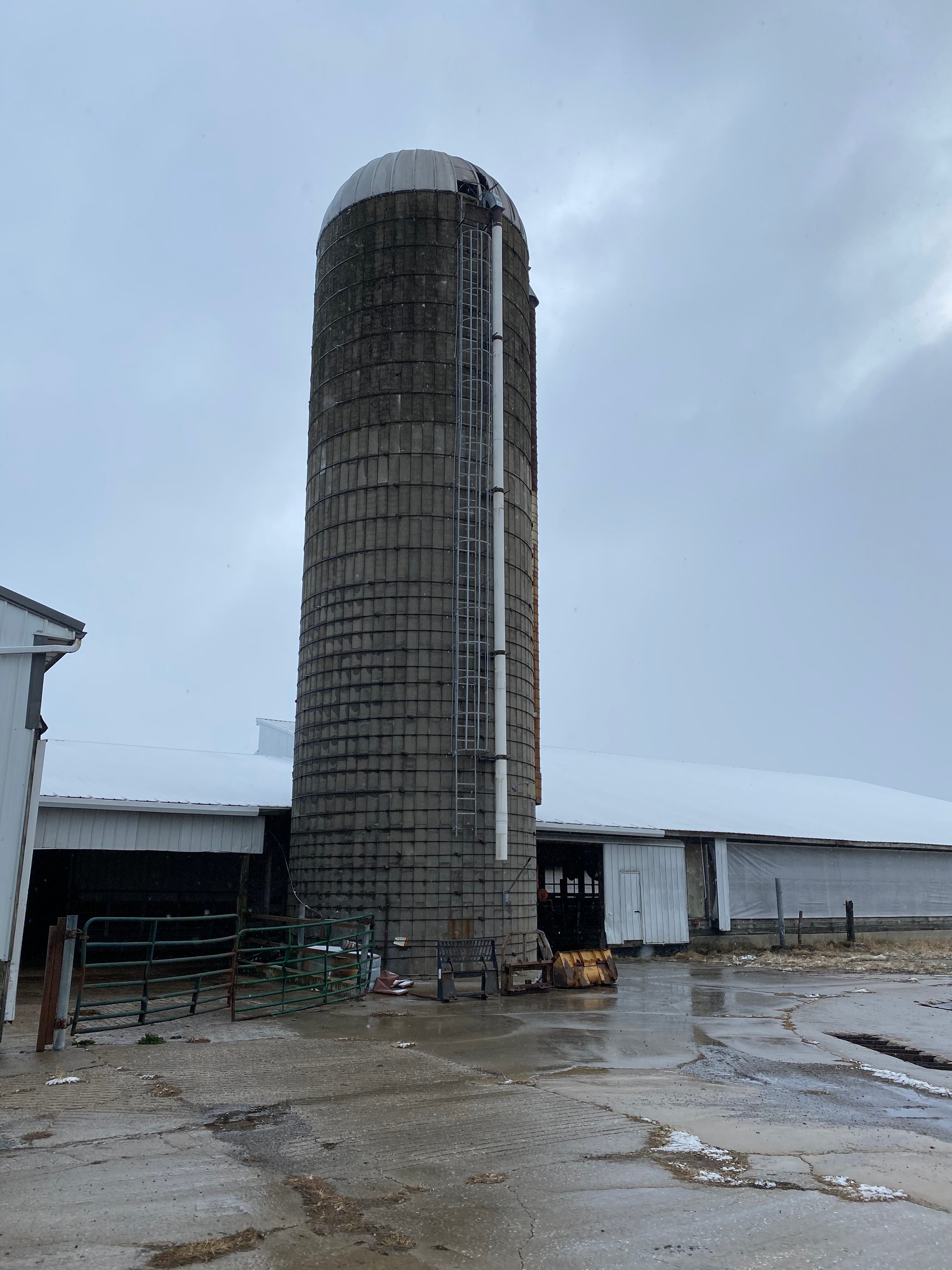 Dairy Facility Pictures