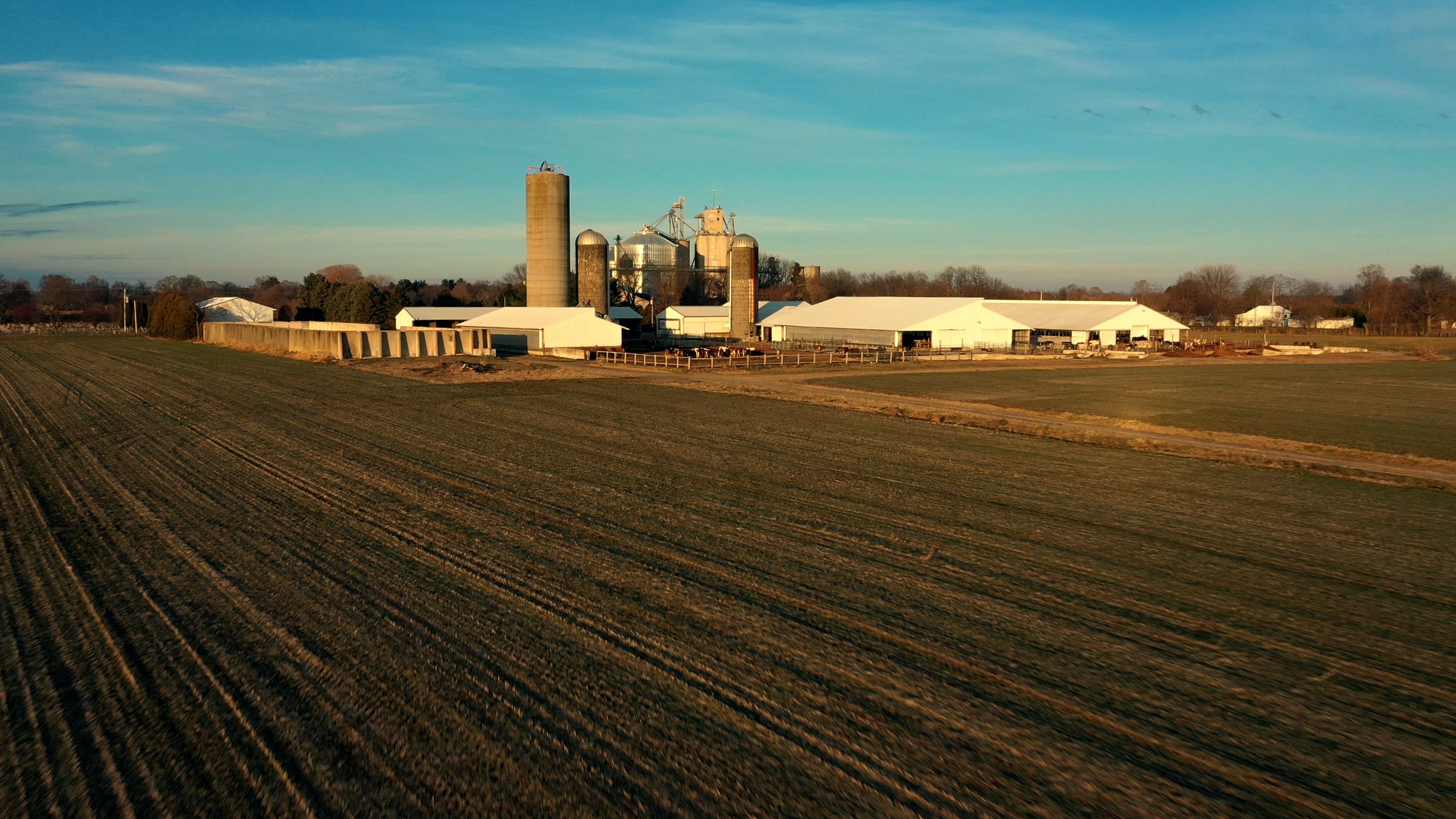 Dairy Facility Pictures