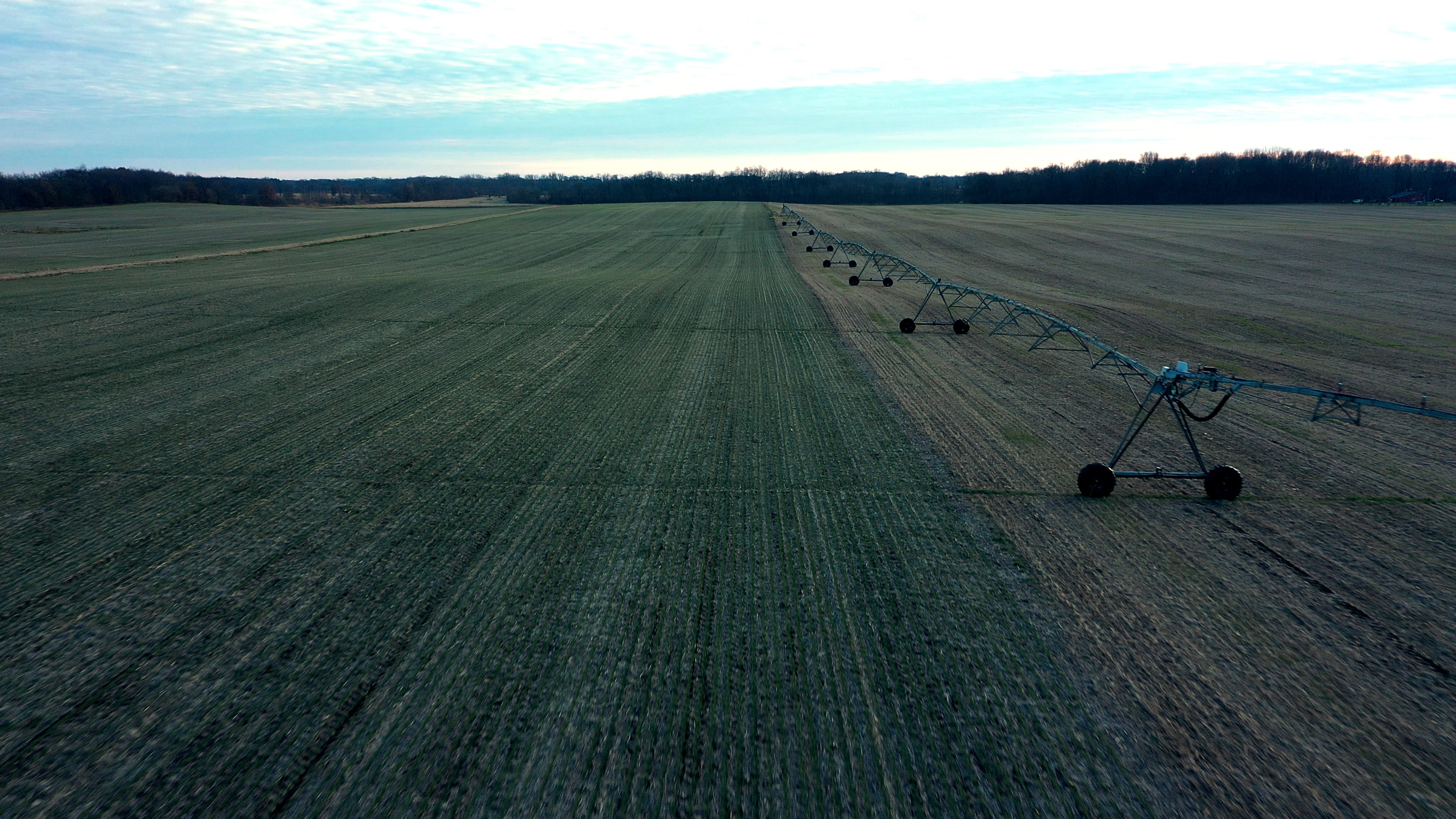 Real Estate Pictures