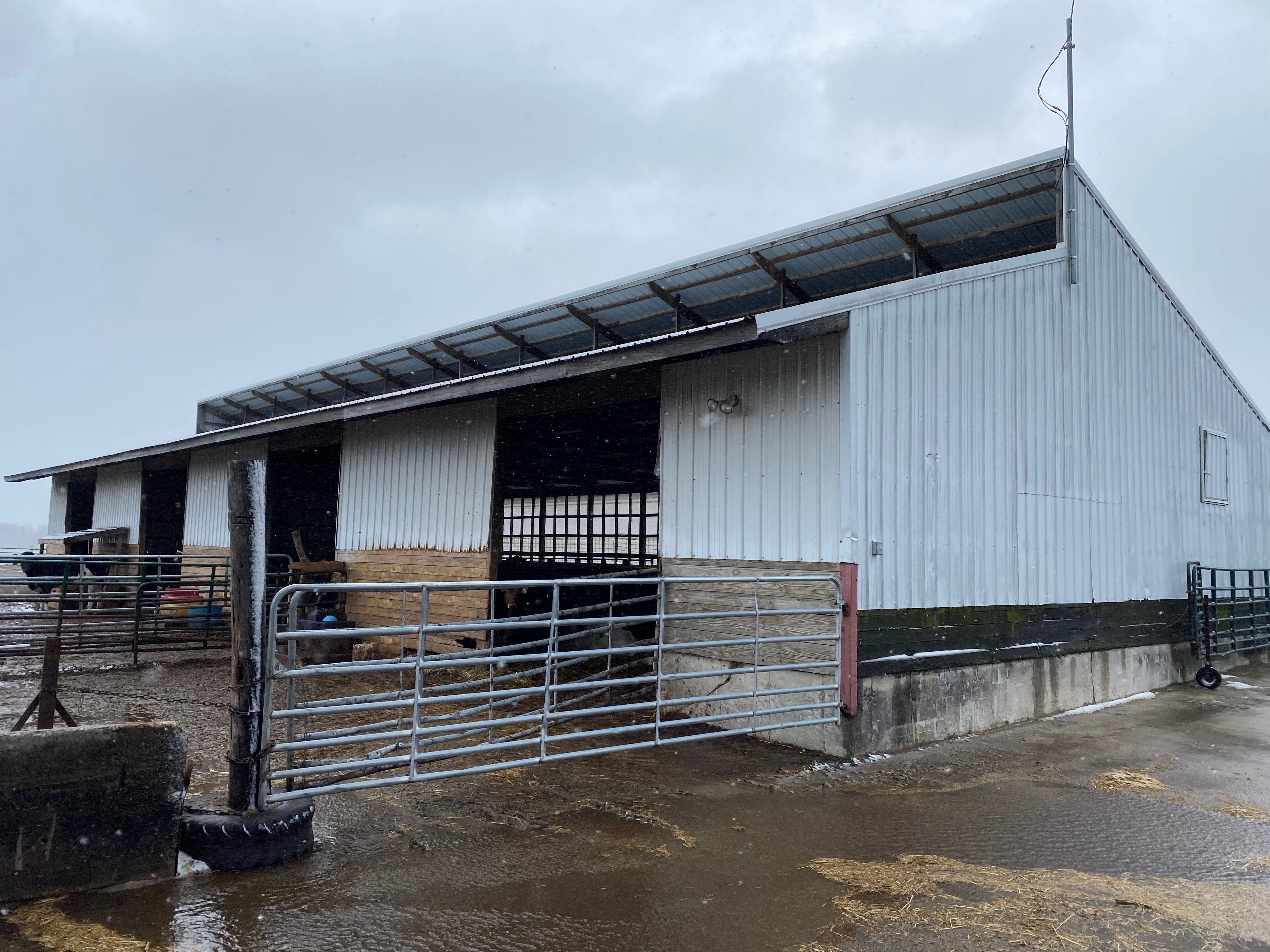 Dairy Facility Pictures