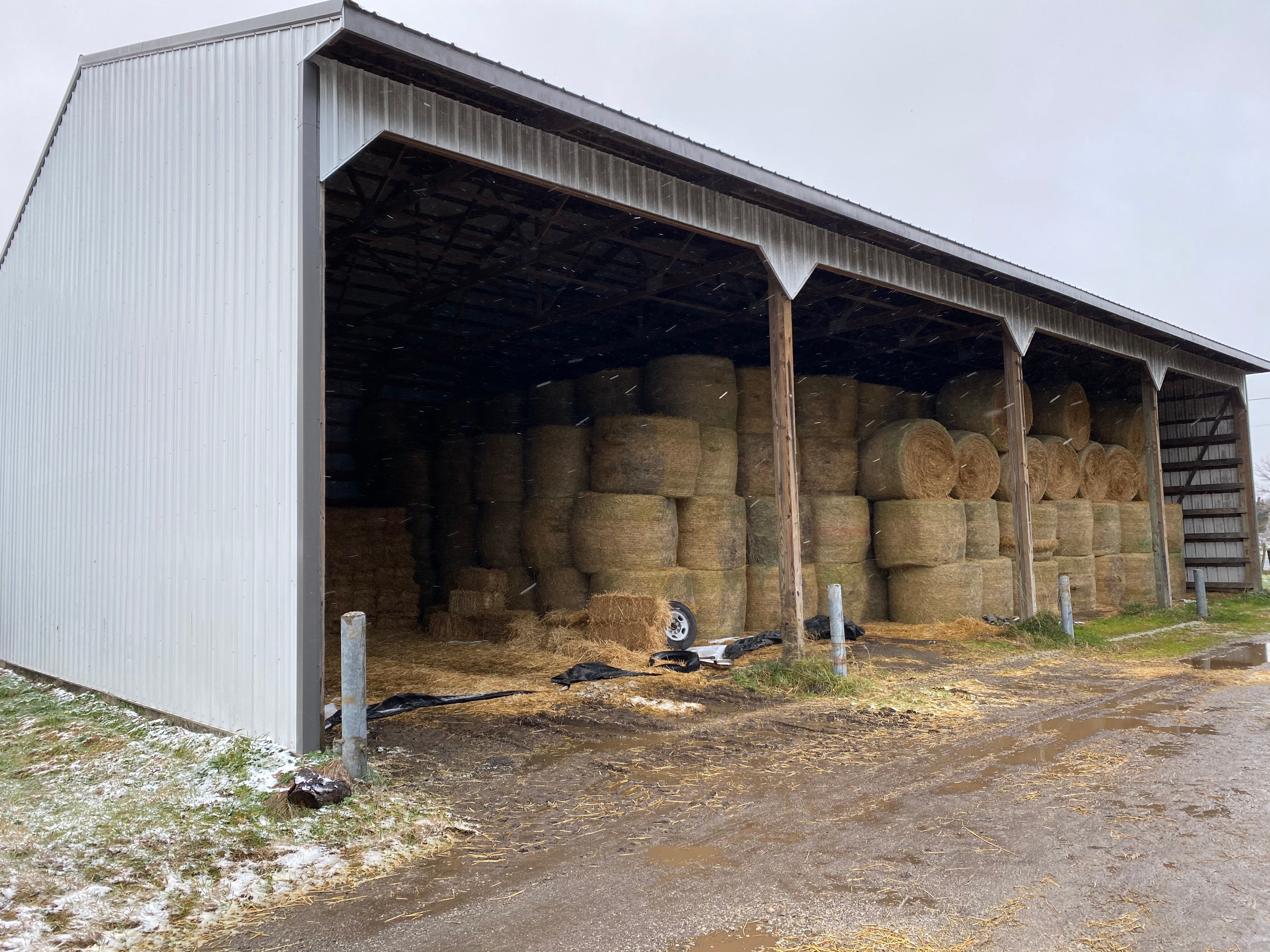 Dairy Facility Pictures