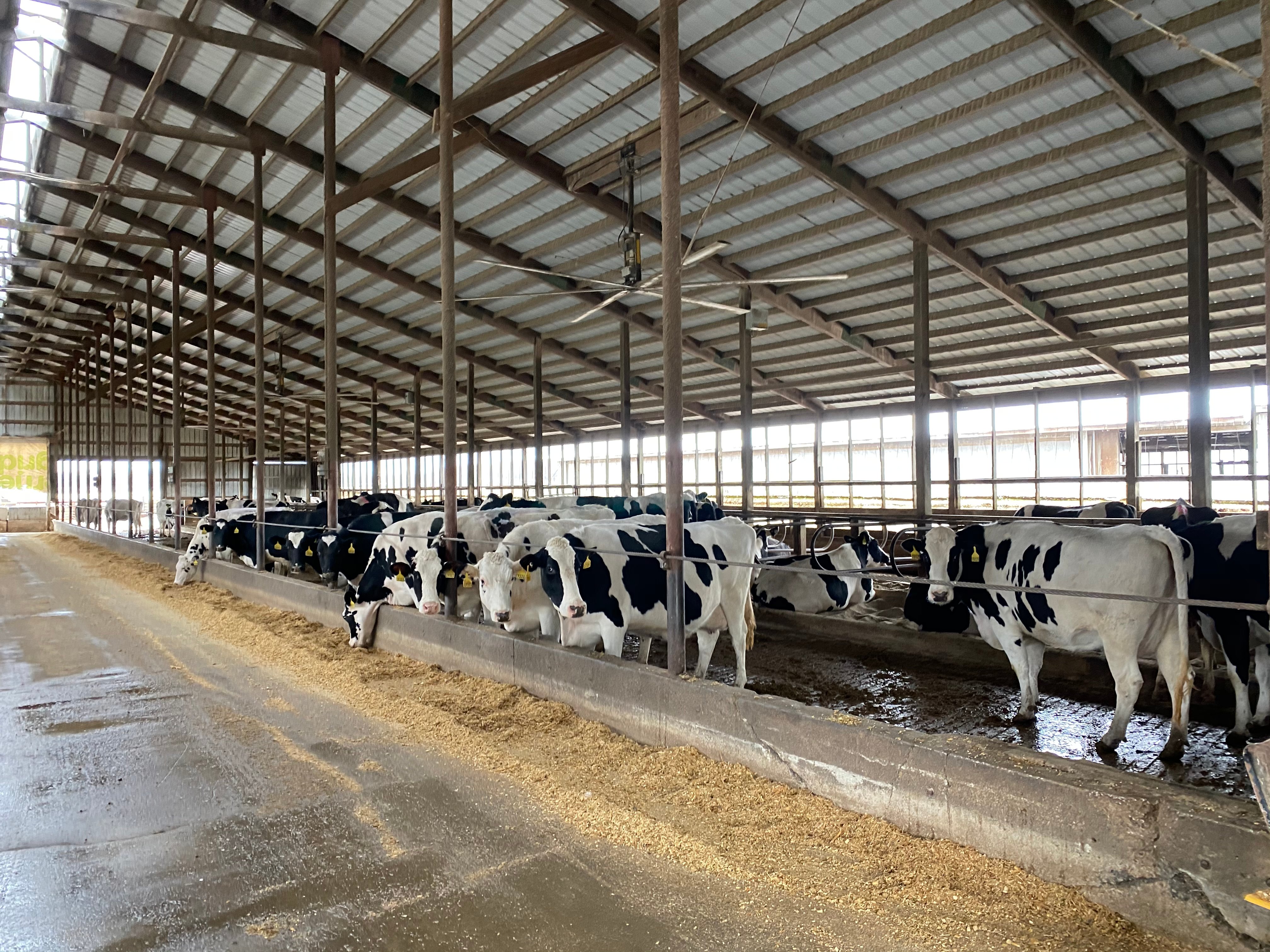 Dairy Facility Pictures
