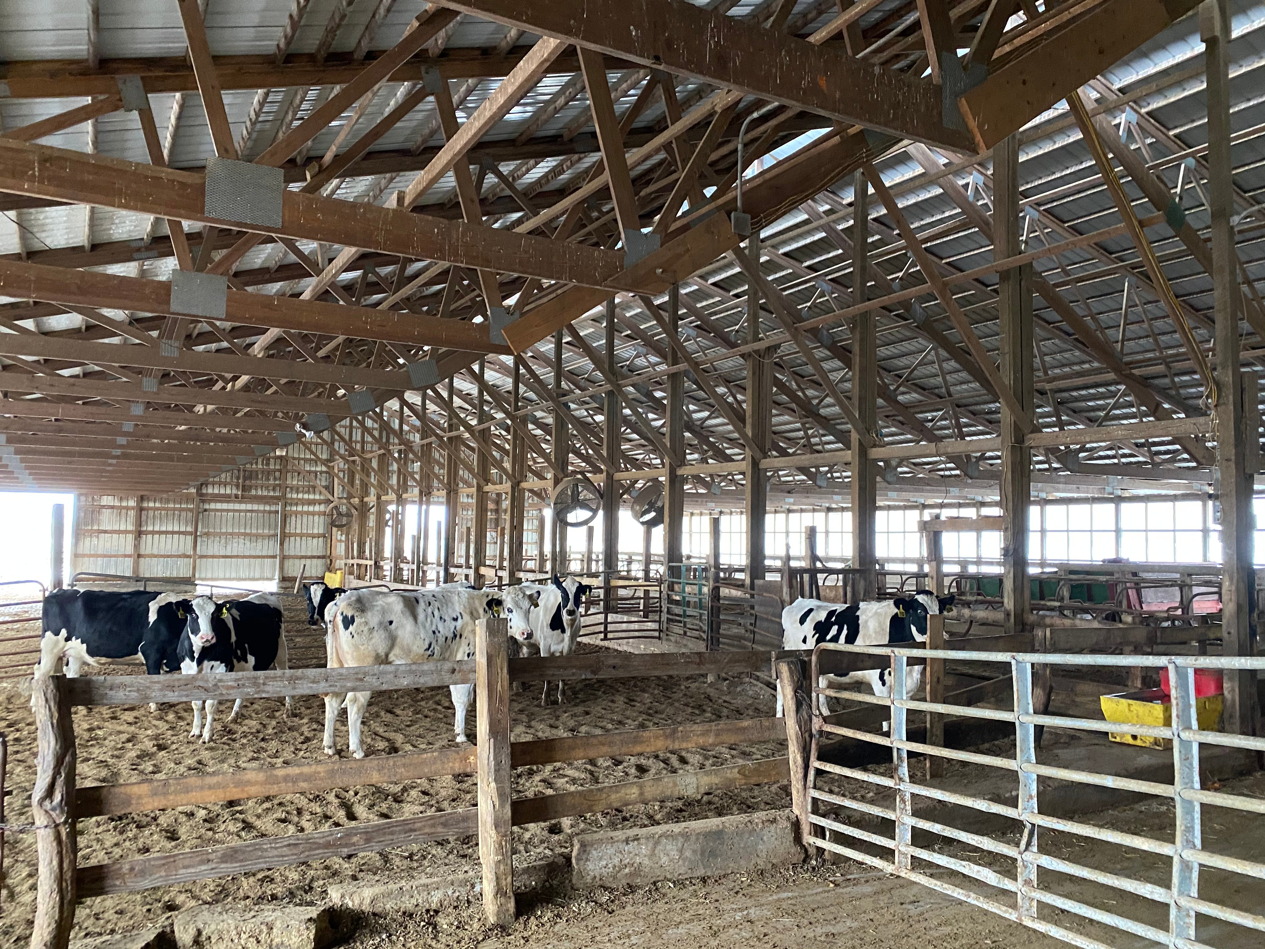 Dairy Facility Pictures