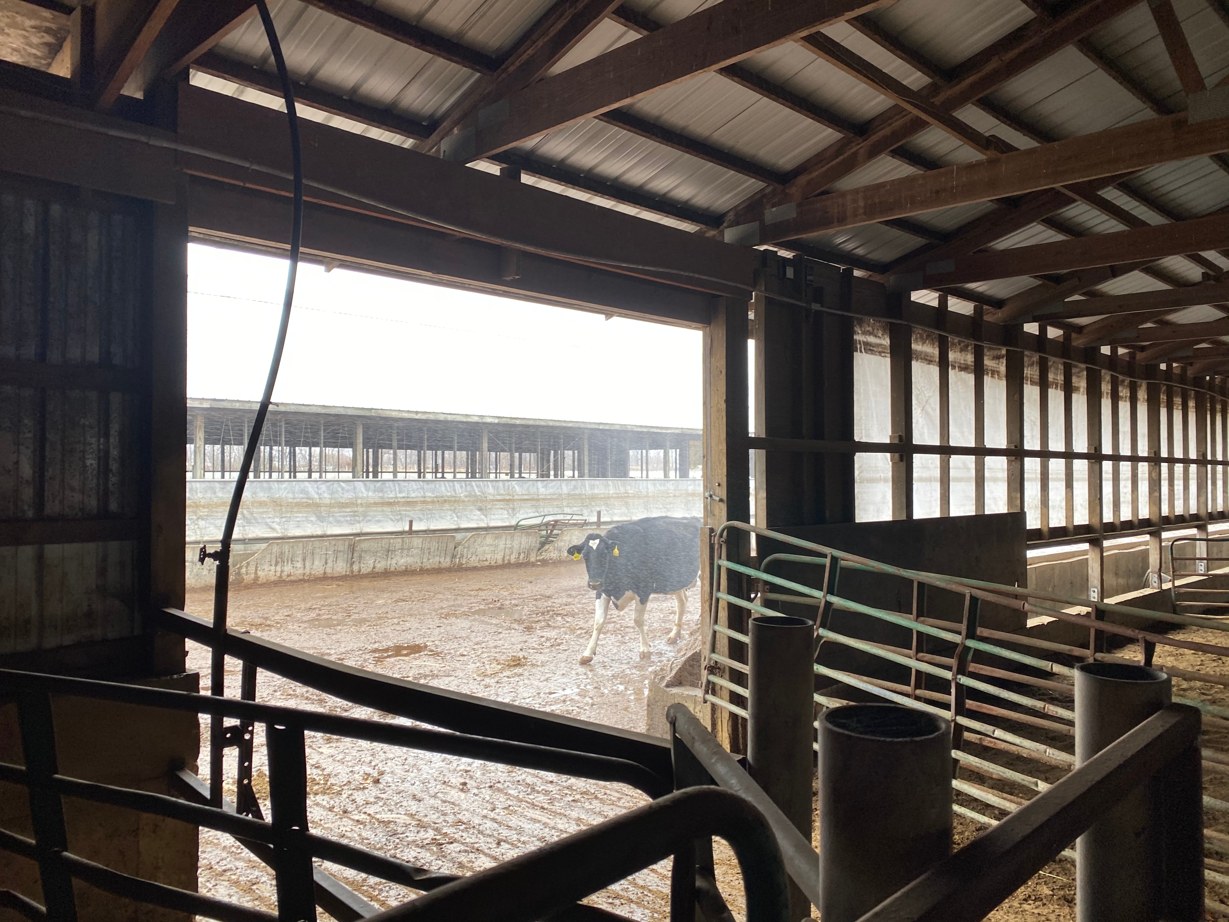 Dairy Facility Pictures
