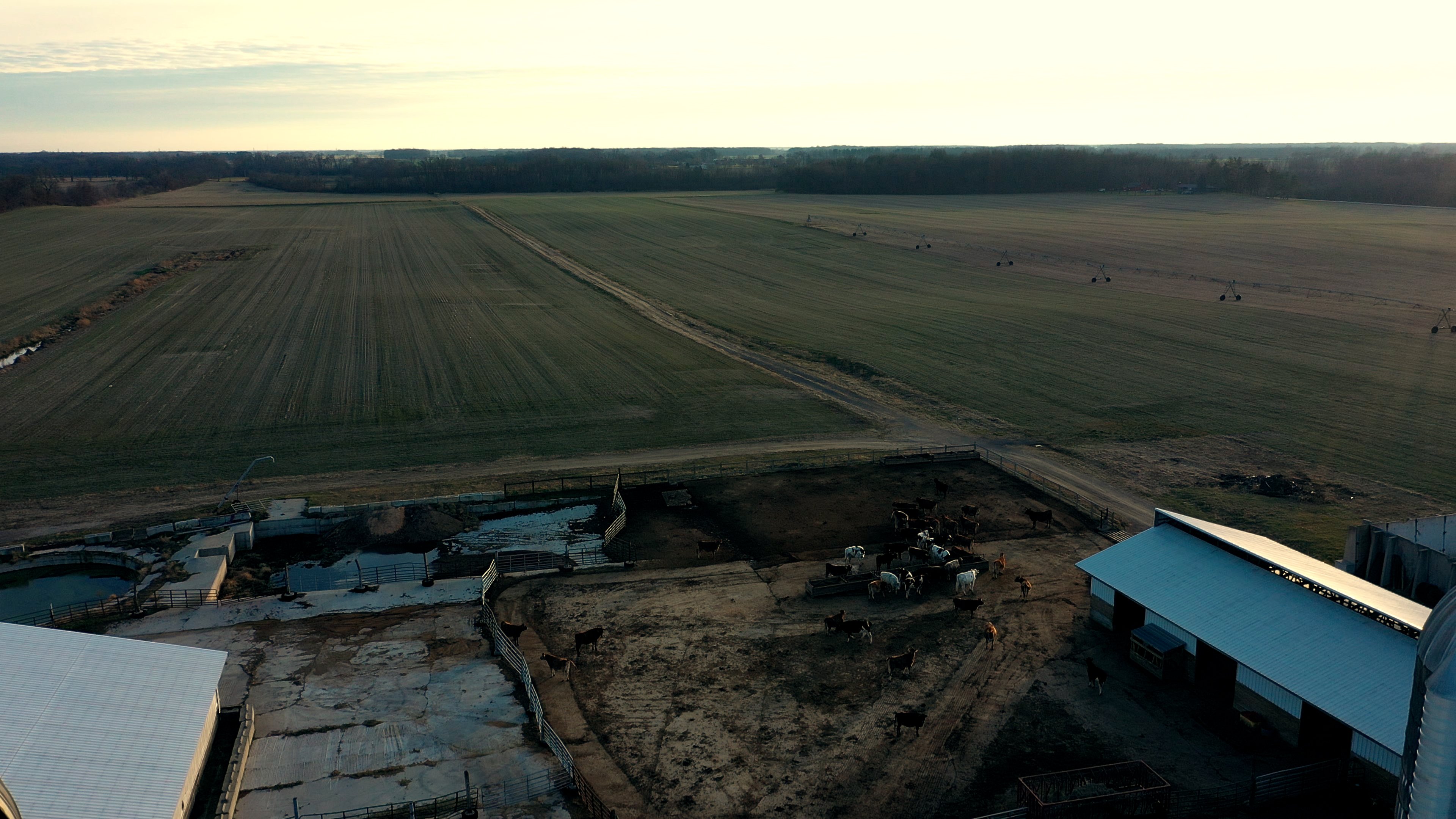 Dairy Facility Pictures