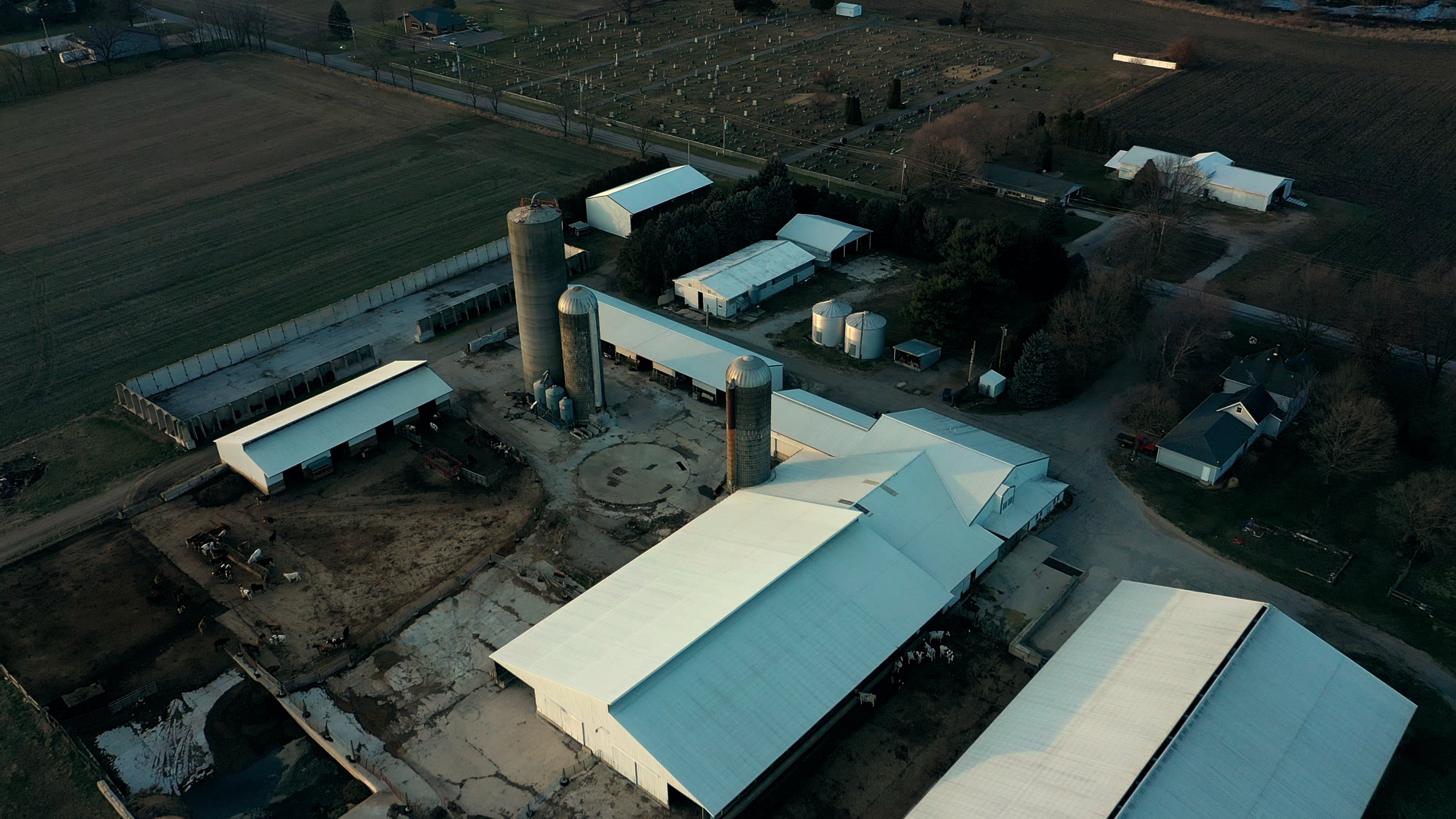 Dairy Facility Pictures