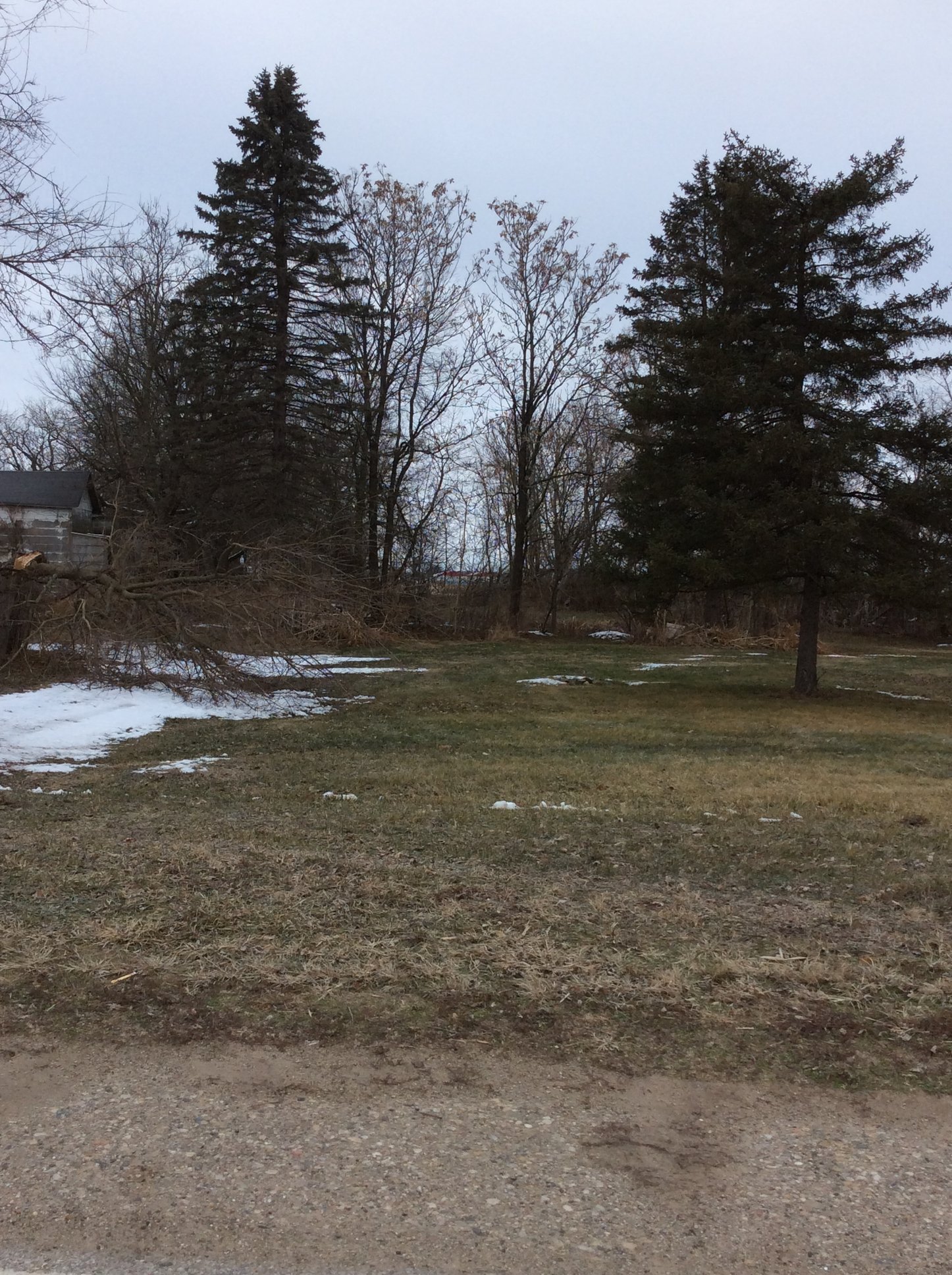 Real Estate Pictures