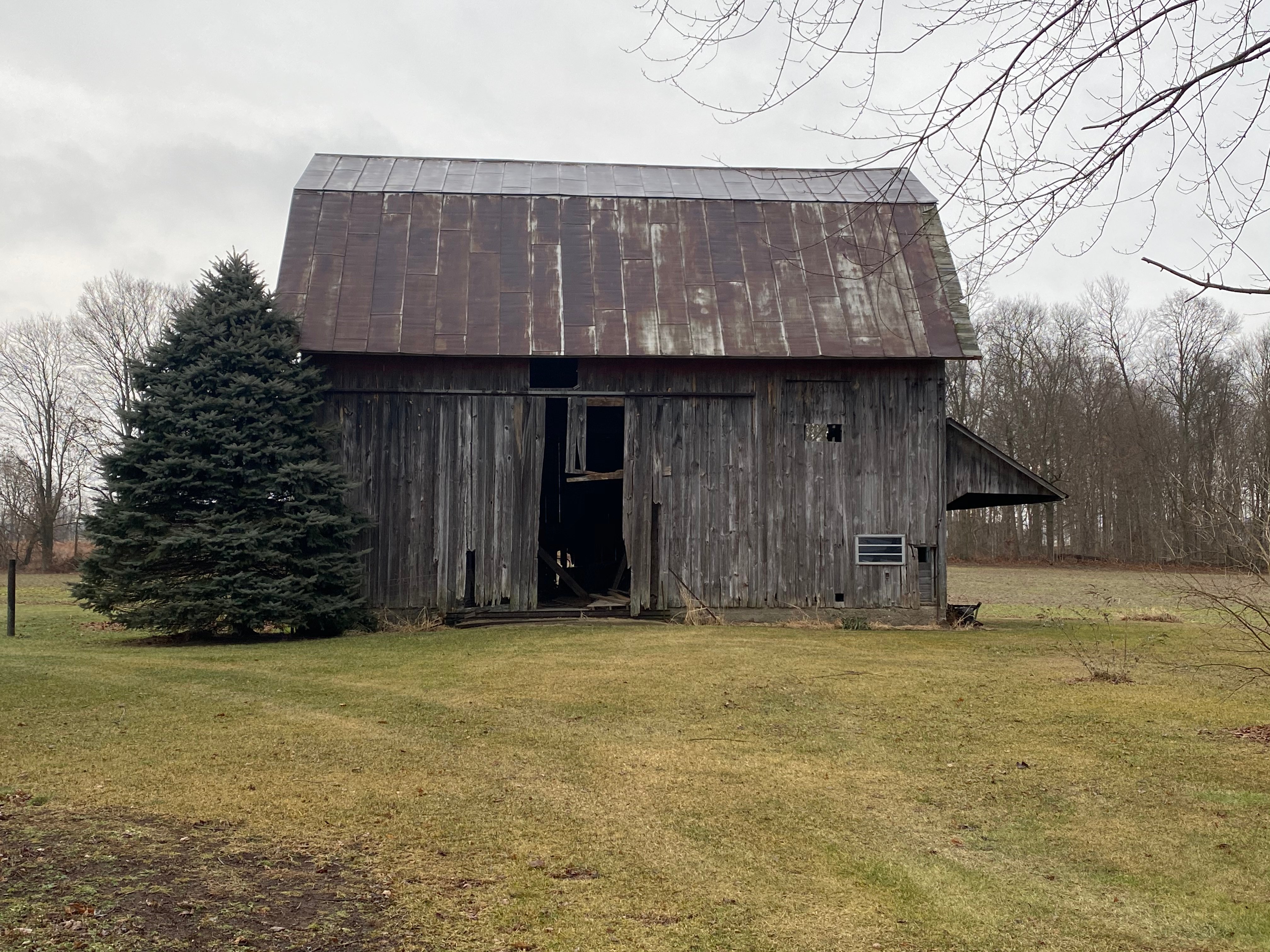 Real Estate Pictures