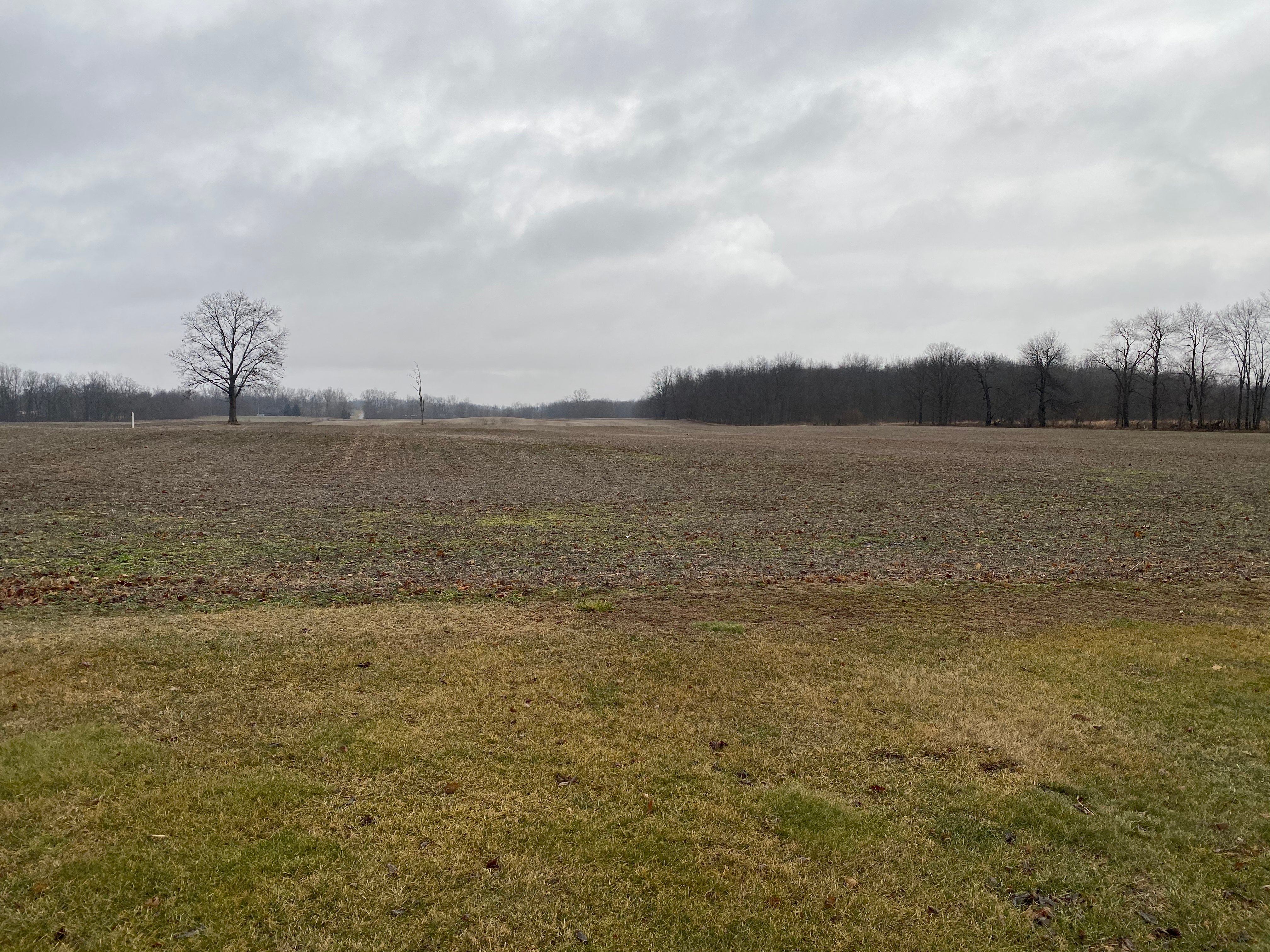 Real Estate Pictures