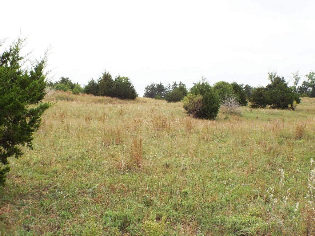 Photo 24