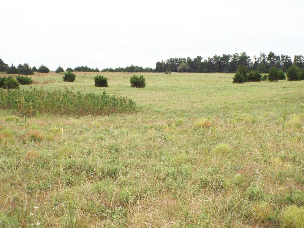 11/14 80± ACRES * GRANT COUNTY, OK. SELLER: BILLIE PHILBRICK TRUST