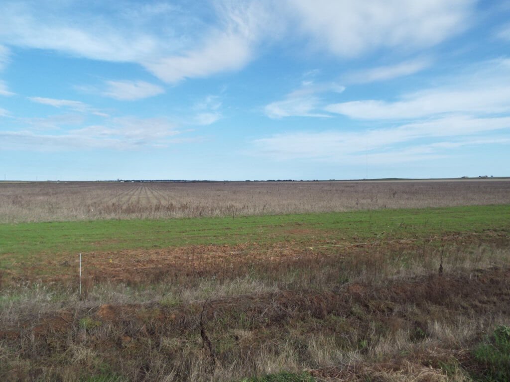 11/29 160± Acres • Surface & Minerals Tillman County Oklahoma