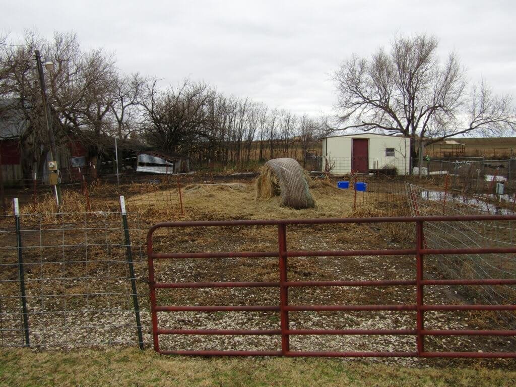 Photo 48