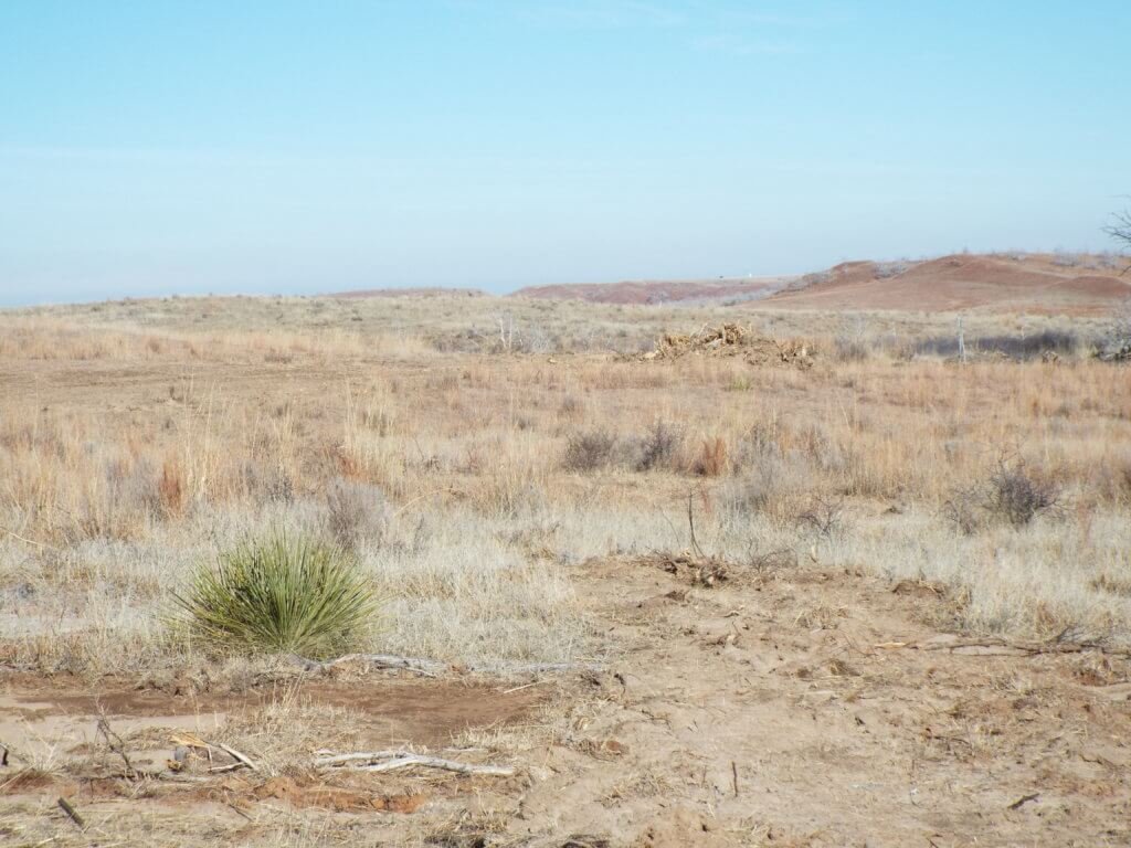 Photo 45