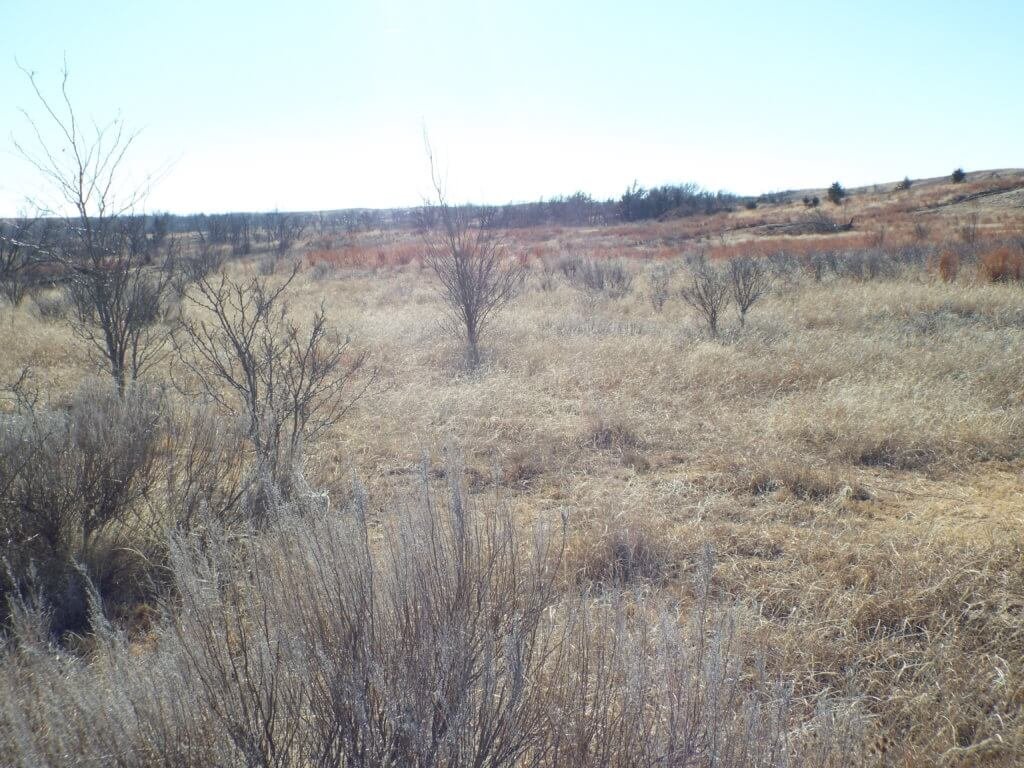 Photo 28