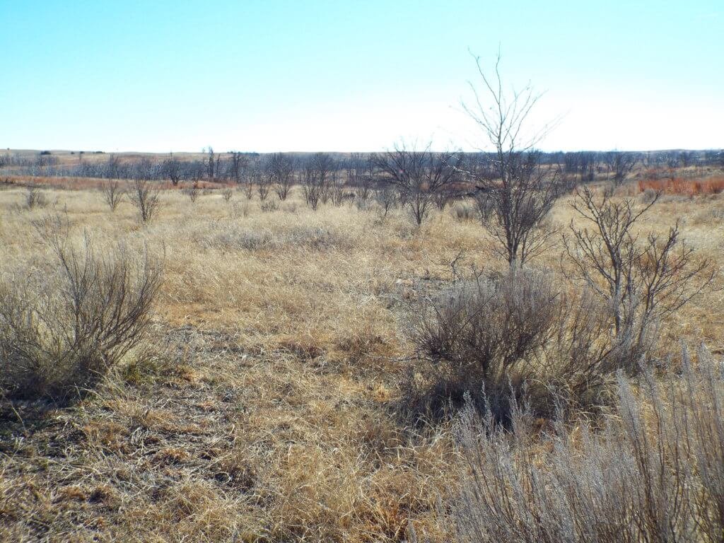 Photo 27