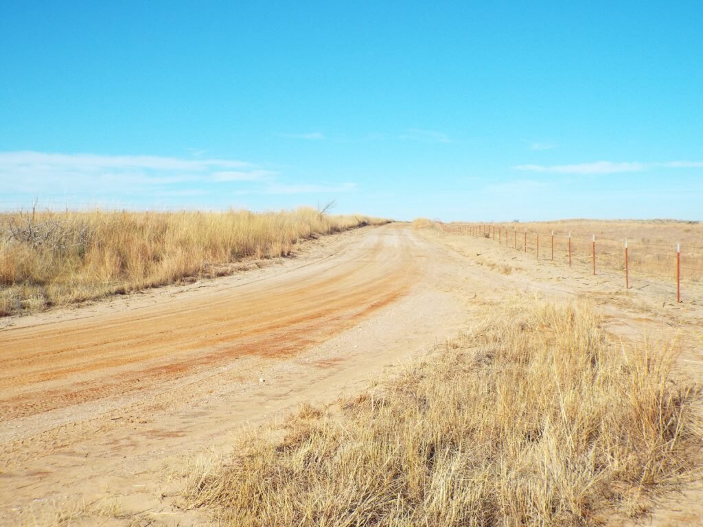 Photo 47
