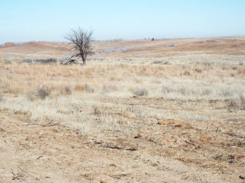 Photo 46
