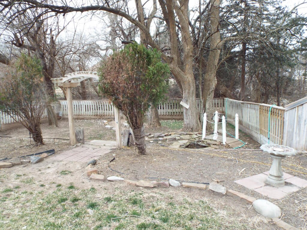 Photo 21