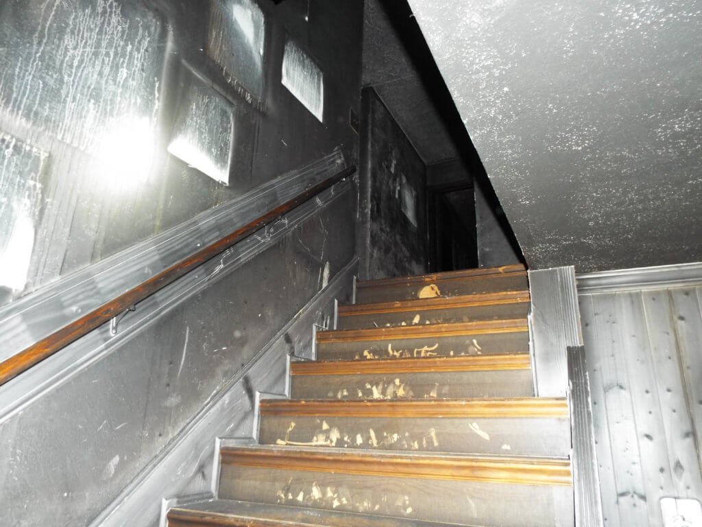 Photo 24
