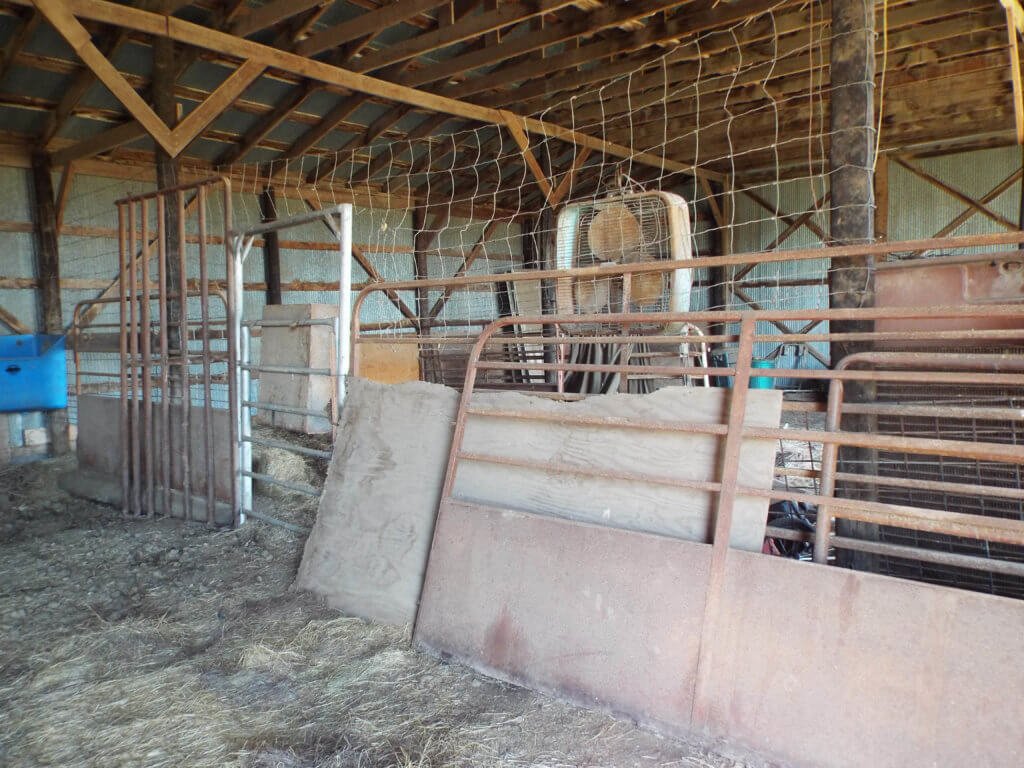 Photo 46