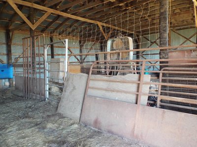 Photo 46