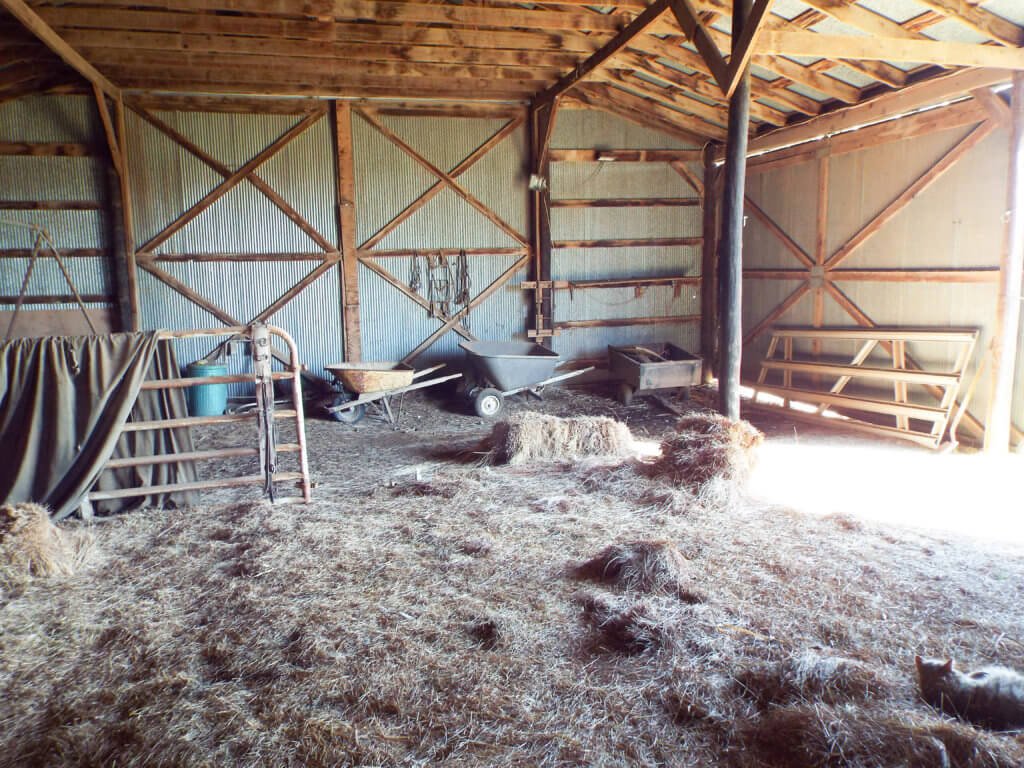 Photo 47