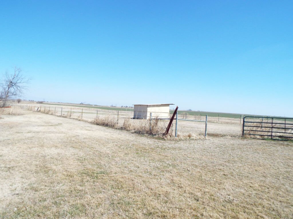 Photo 48