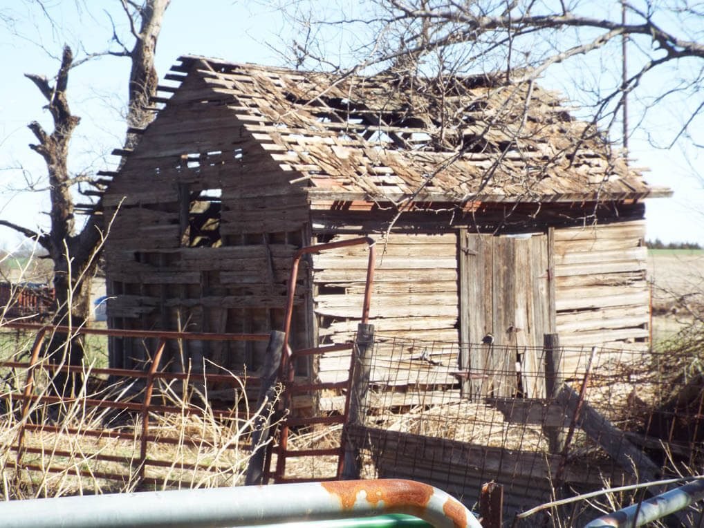 Photo 49
