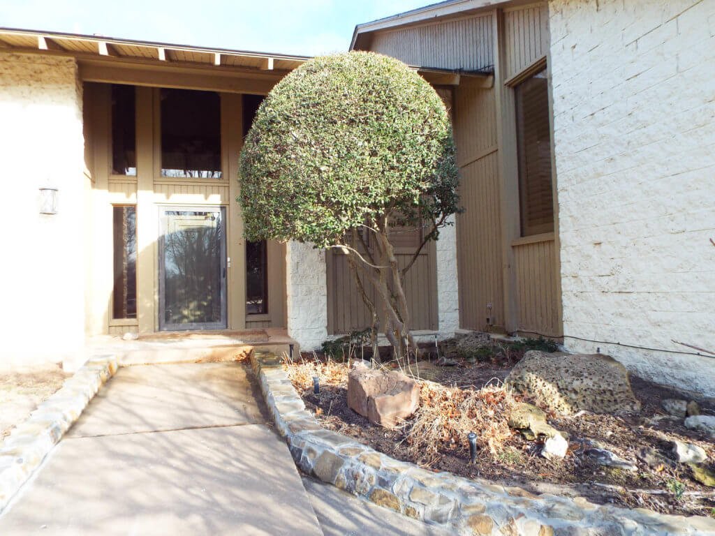 Photo 13