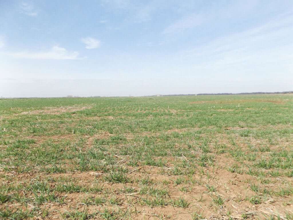 5/8 257± ACRES * MINERALS * CLASS I SOILS * CROP LAND * HUNTING * LAMONT – MEDFORD OK.