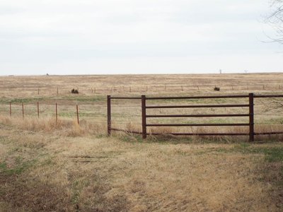 Photo 100