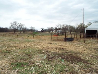 Photo 79