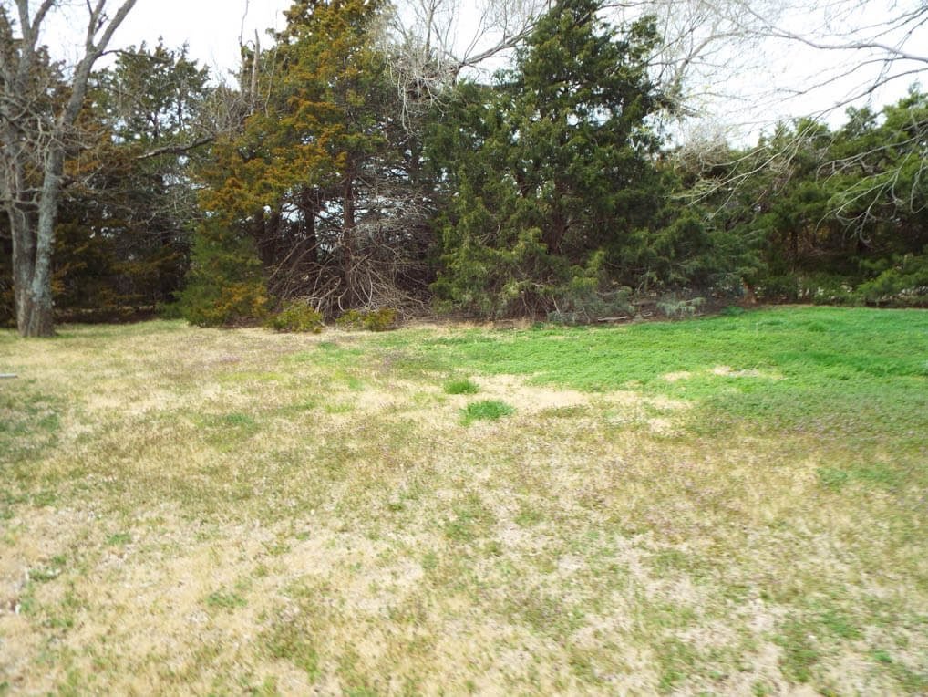 Photo 31