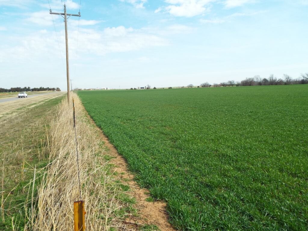5/10 116.30± ACRES * CROPLAND * HIGHWAY FRONTAGE * Offered in 2 Tracts