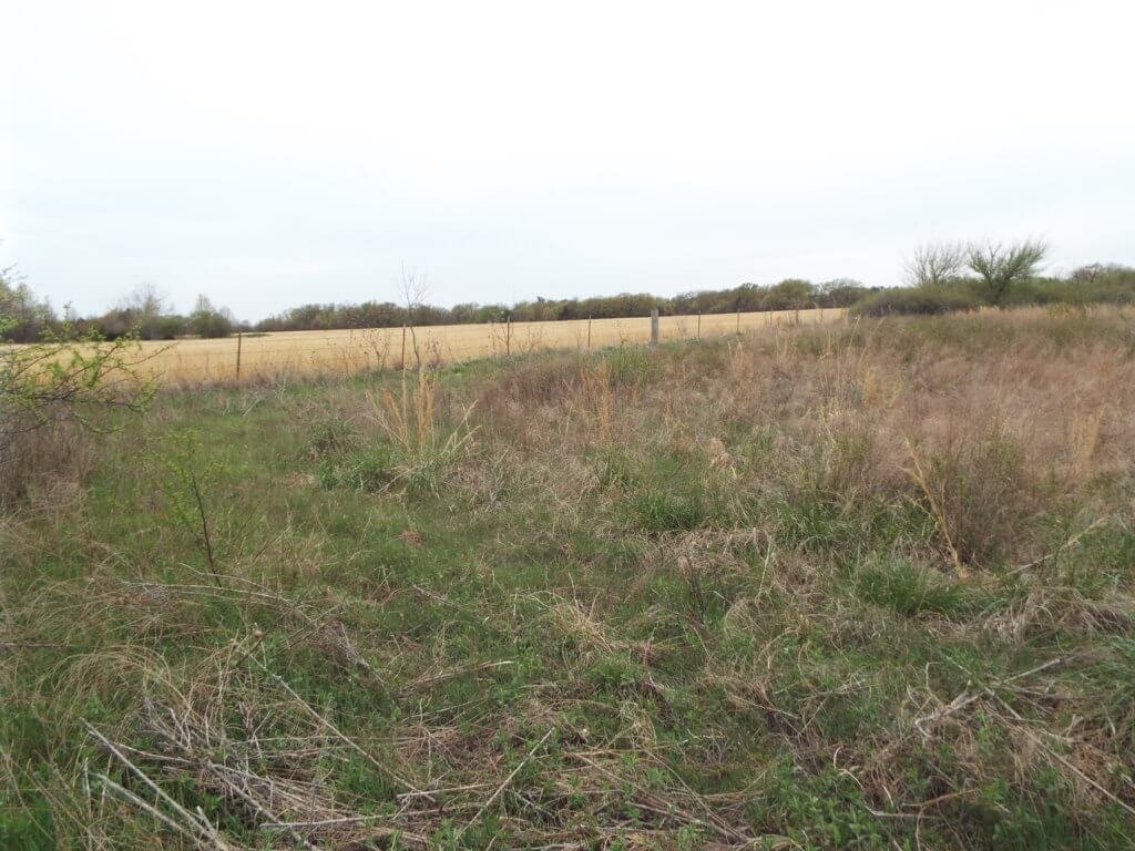Photo 44