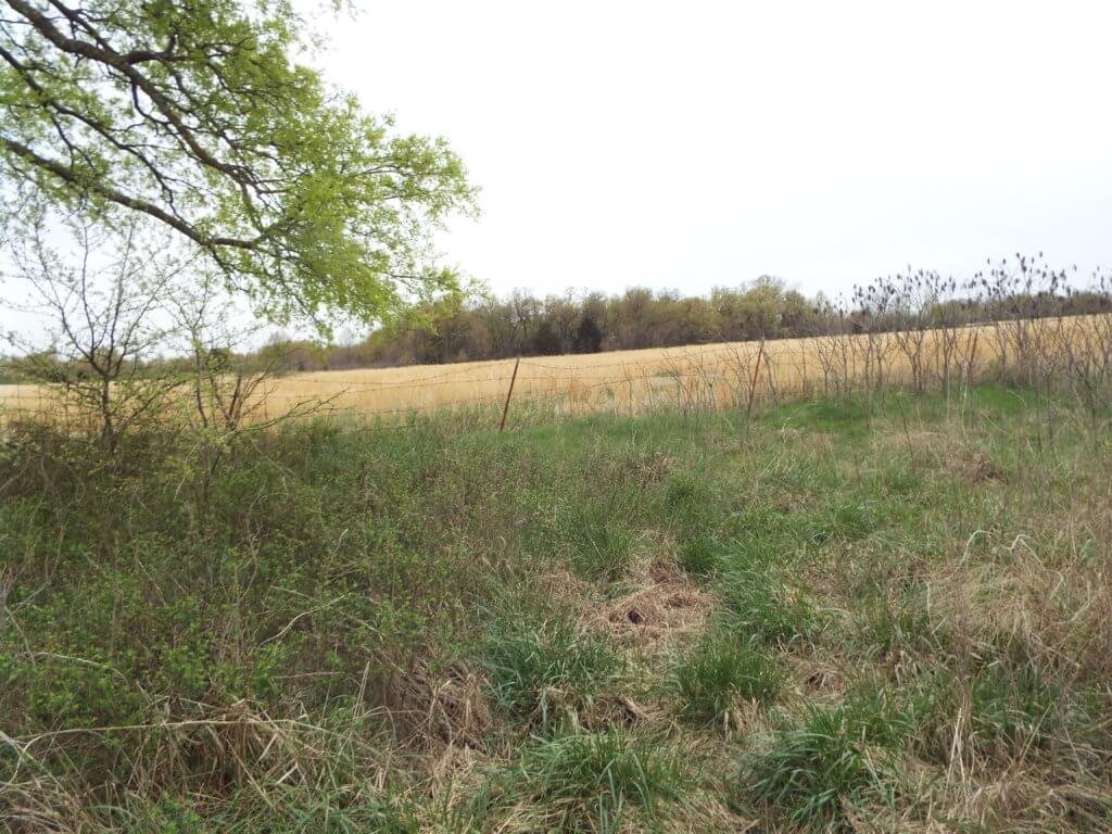 Photo 43