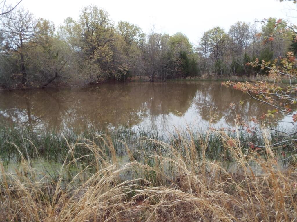 Photo 49