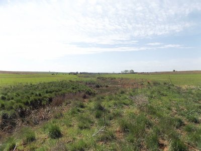 Photo 29