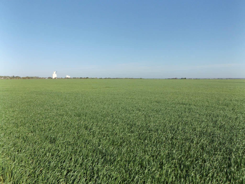 5/20 510± ACRES * CROP LAND * GRASS * FARM EQUIPMENT * NASH OK.