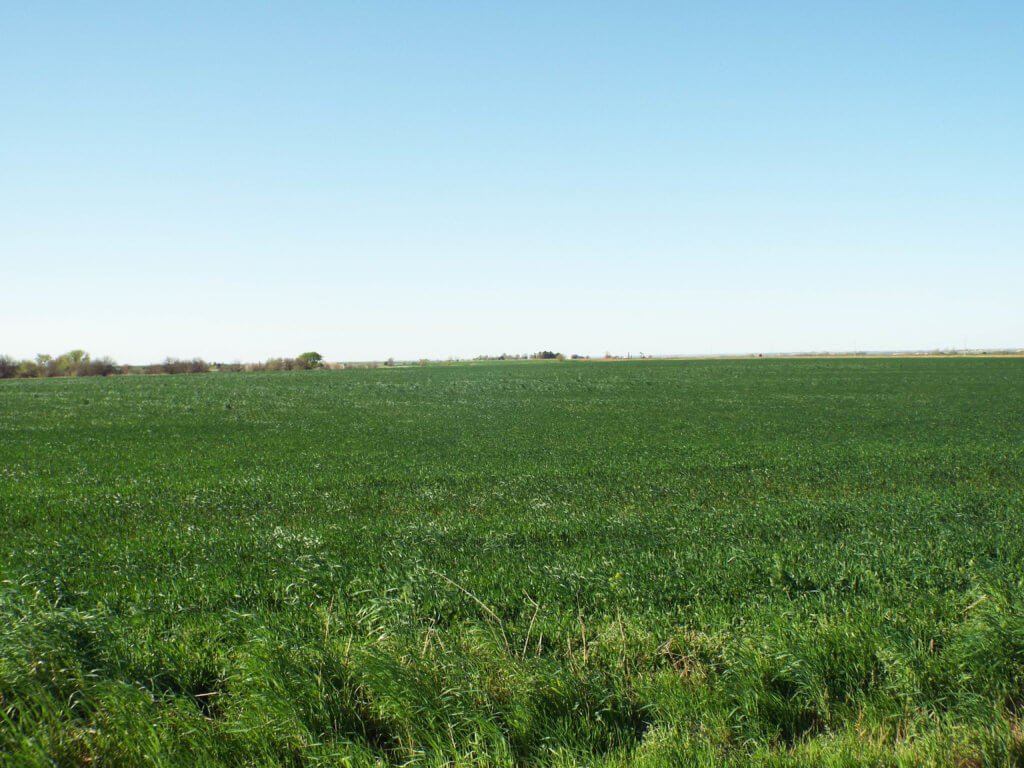 Photo 37